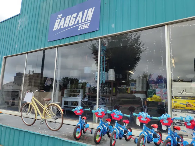 The Bargain Store
