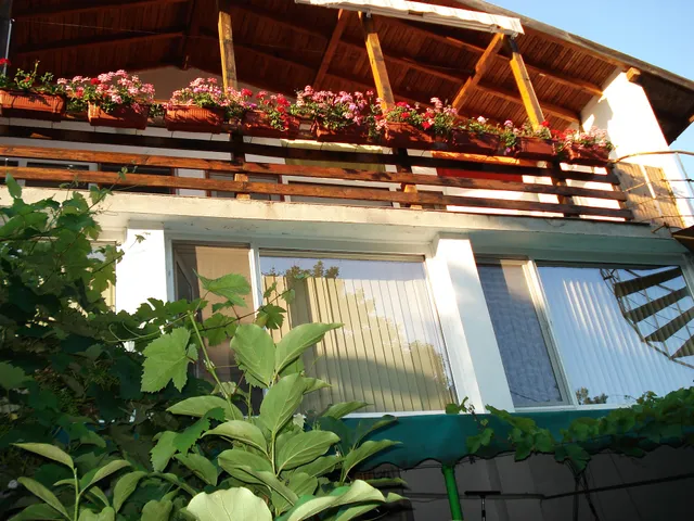 Villa Exotica ,Вила Екзотика