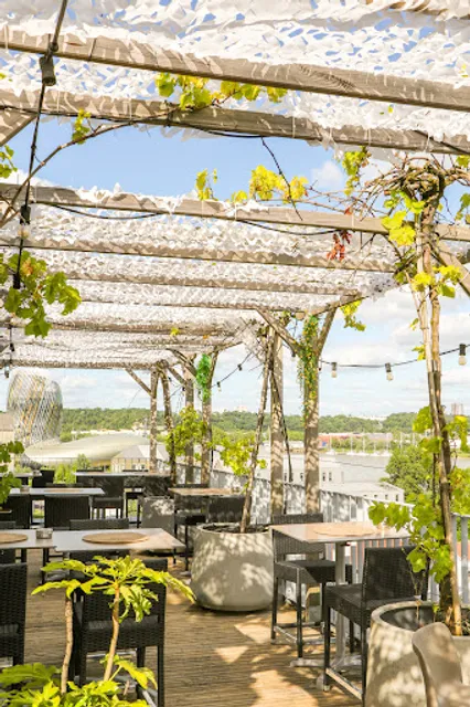 ROOFTOP | Shasha sur le Toit