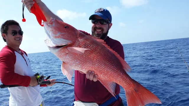 Anna Maria Fishing Adventures