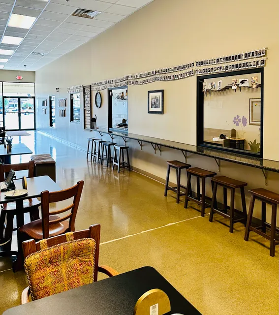 Black Forest Cat Café