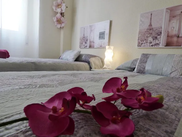 Siente Jaén Apartamento