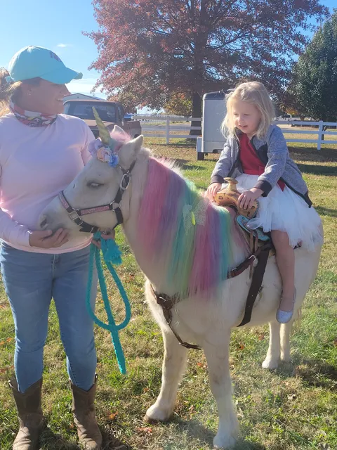 Pony Paradise Rides