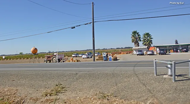 Cuevas Garden Hwy Gardens