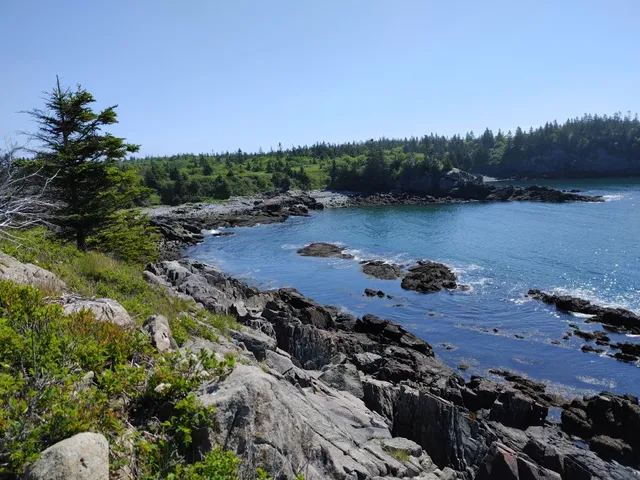 Hamilton Cove Preserve Trailhead