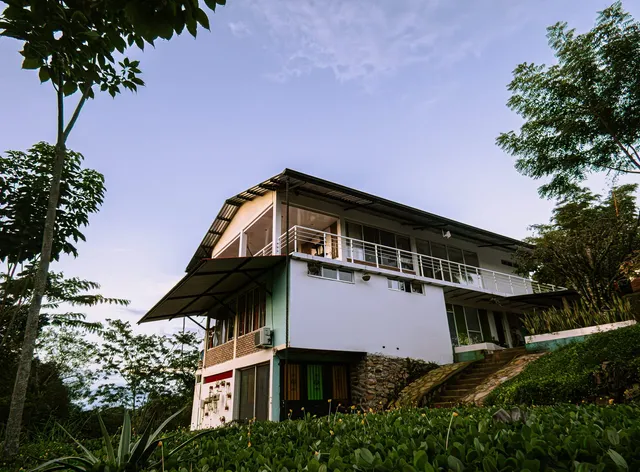 Entre el Llano y la Selva