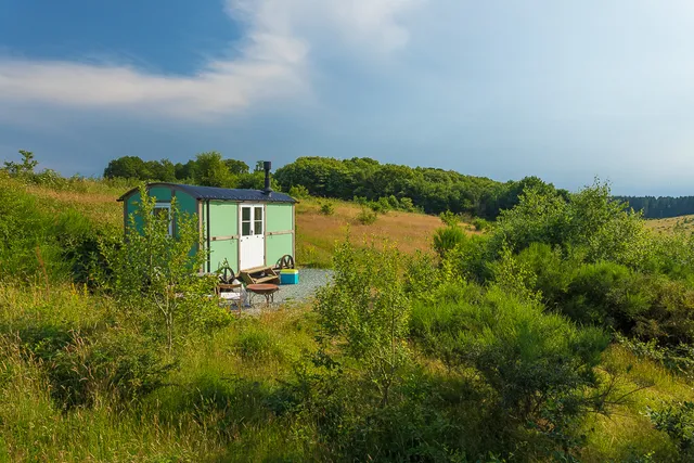 Wildwoodland Retreat