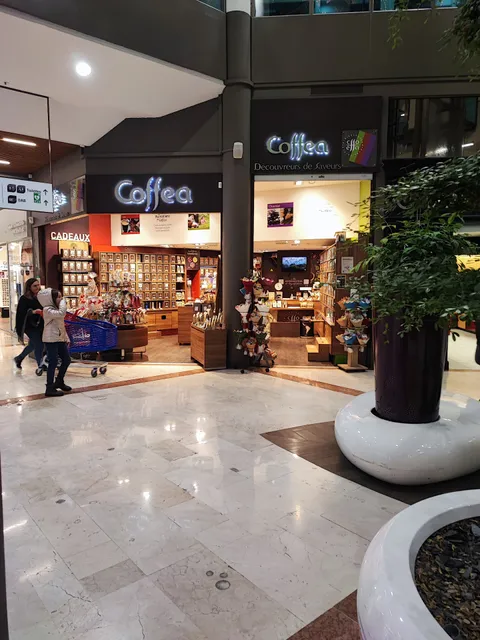 Centre commercial Grand Maine