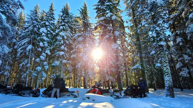 Octane Adventures - Scenic Snowmobile Tours