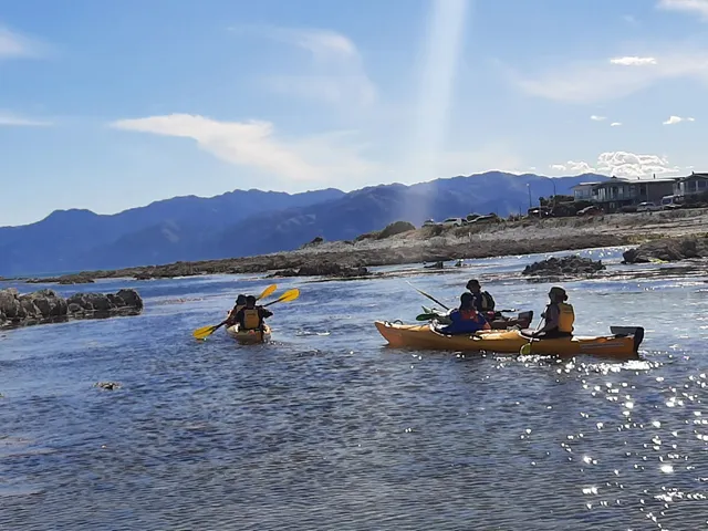 Kaikoura Kayaks