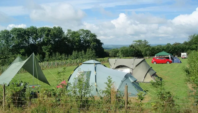 Ten Acres Vineyard Campsite
