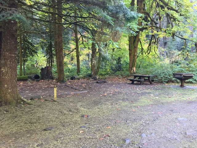 Government Mineral Springs Campground