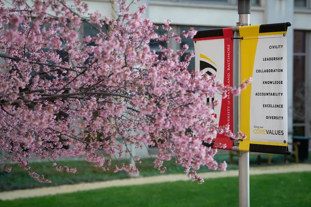 University of Maryland, Baltimore