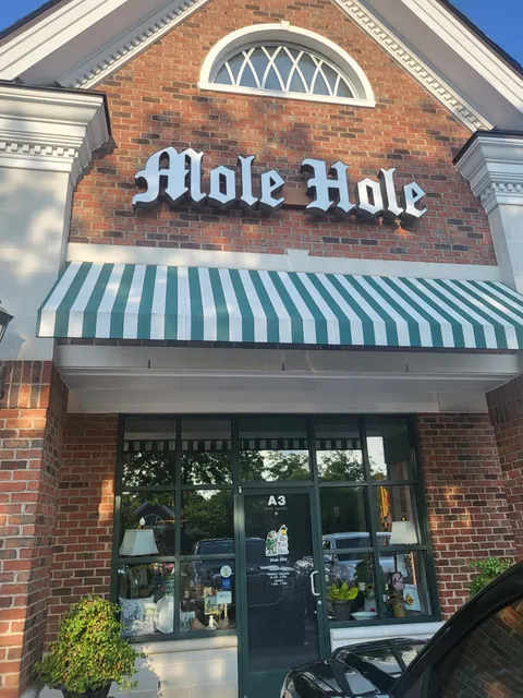 Mole Hole