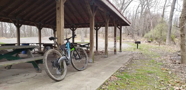 North Park Wyoming Grove