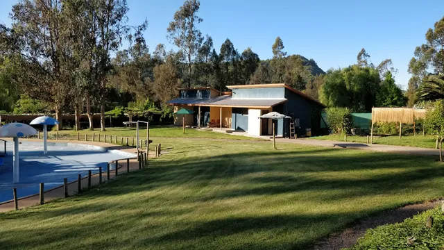 León de Buenos Aires