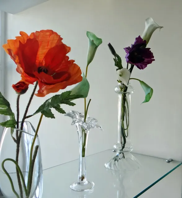 Meet Porto Apartment