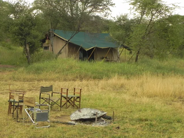 Nasikia Mobile Migration Camp (Ndutu NCAA) by Nasikia camps, Tanzania