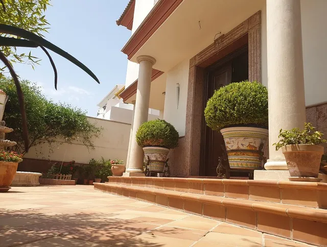 Alojamiento El Olivo