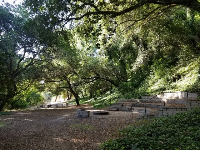 Bay Trees Park