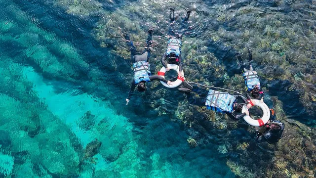 小琉球普拉斯水上活動 Liuqiuplus | 浮潛Snorkeling | 立式划槳SUP | 獨木舟Kayak
