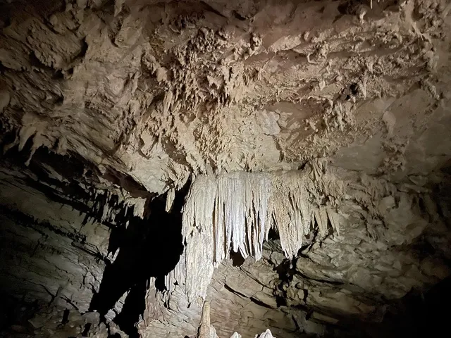 The Giant Tortoises Park Restaurant