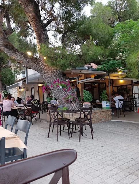 Traditional Cafe Nikos