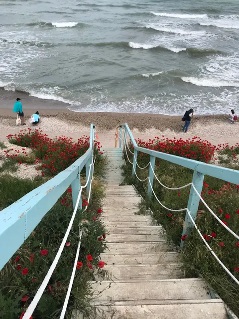 Green Villa Accommodation