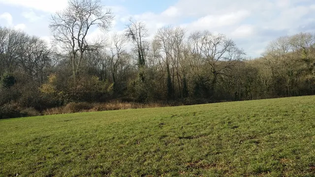 Toplands, River Hamble Country Park