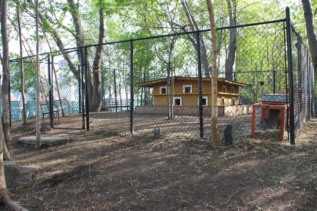 Wildlife Freedom Foundation