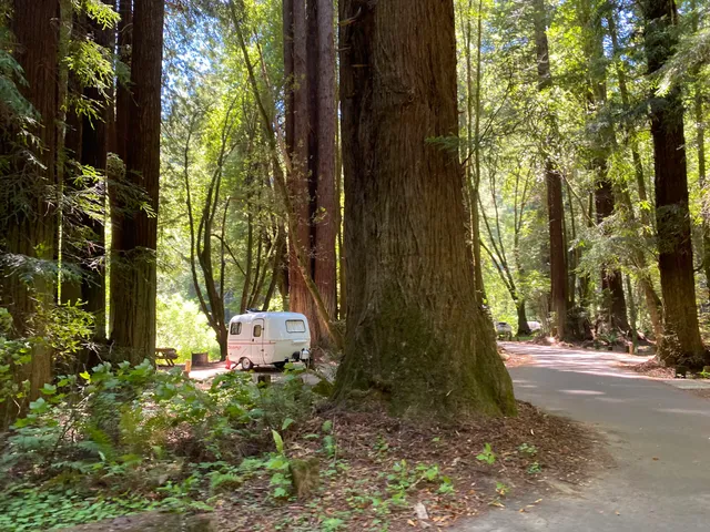 Paul Dimmick Campground