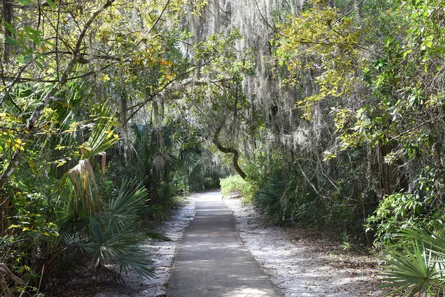 Maggy's Hammock Park
