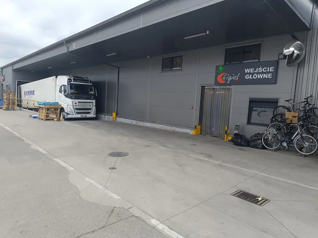 Figiel Trade Szymon Figiel Spółka Komandytowa