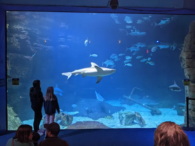 Virginia Aquarium & Marine Science Center