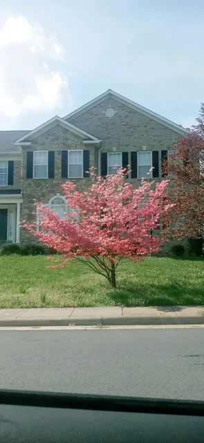 Peace Lutheran Church