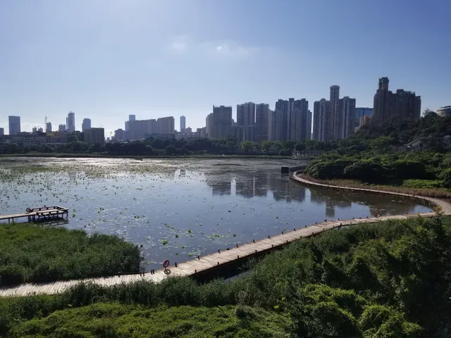 Wetland in Avenida da Praia, Taipa