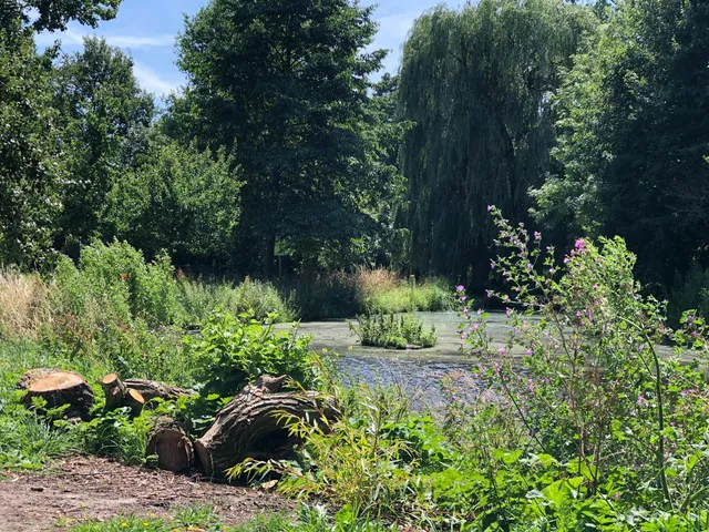 Natuurspeeltuin Kethelpoort