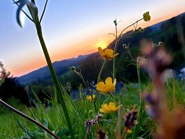 Ferienhaus am Horn Sächsische Schweiz