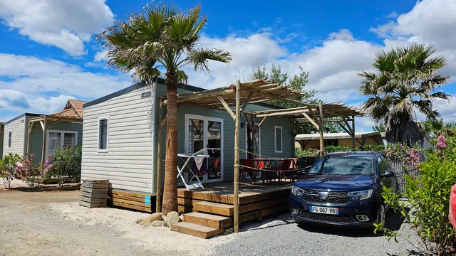 Flower Camping Robinson