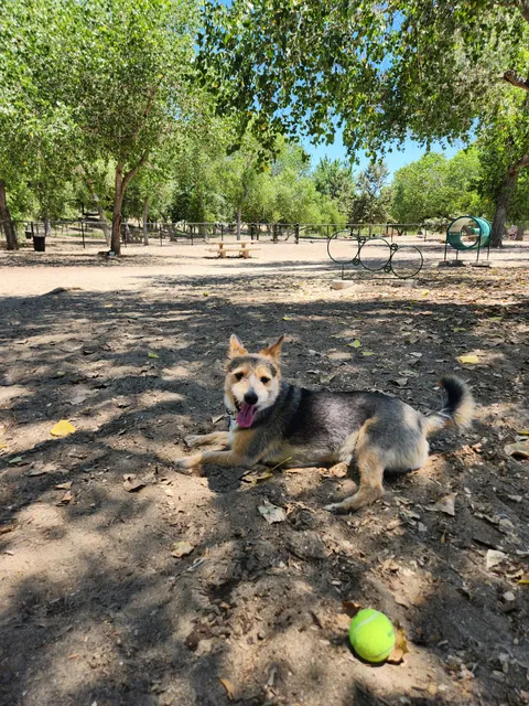 Santee Dog Park