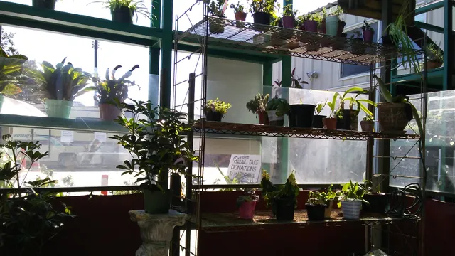 House of Yahweh Thrift Shop