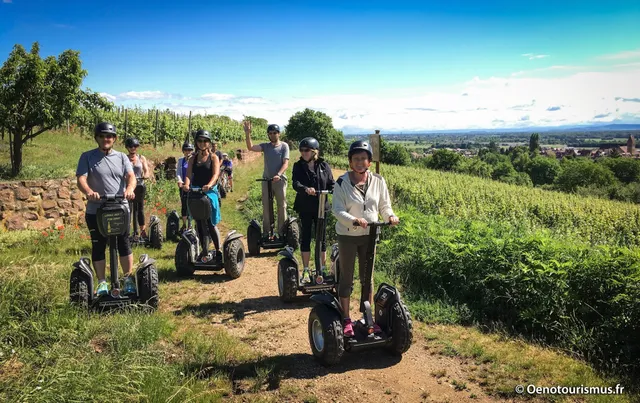 Segway Alsace by Oenotourismus