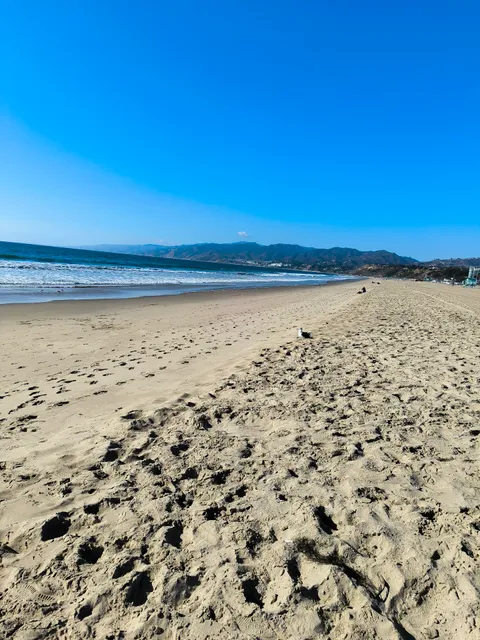 Santa Monica State Beach