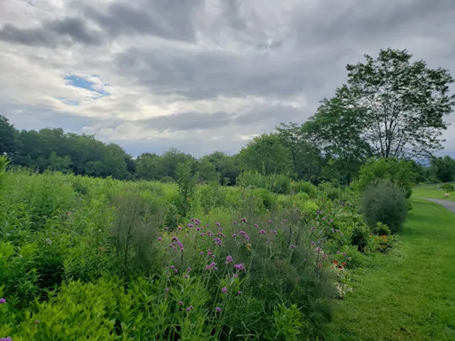 Snetsinger Butterfly Garden