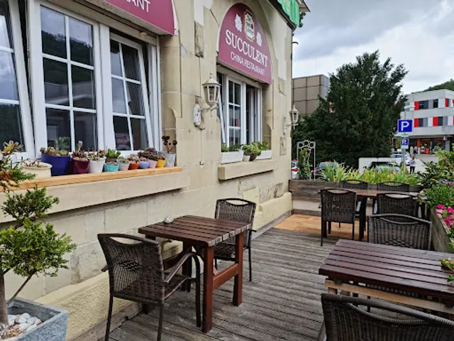 China Restaurant Succulent