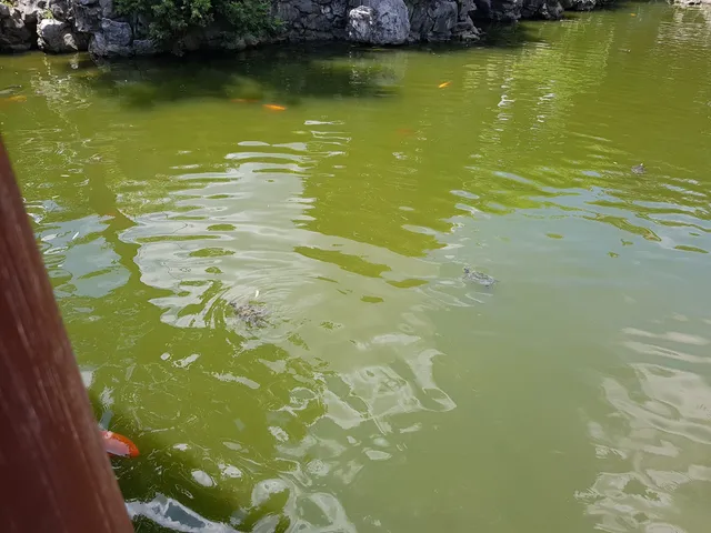 Suichang Characteristic Local Restaurant