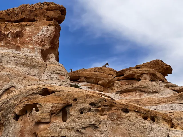 Hickman Bridge, Rim Overlook and Navajo Knobs Trailhead