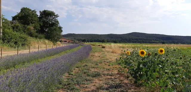 Agriturismo Le Giunchiglie - Azienda bioagrituristica