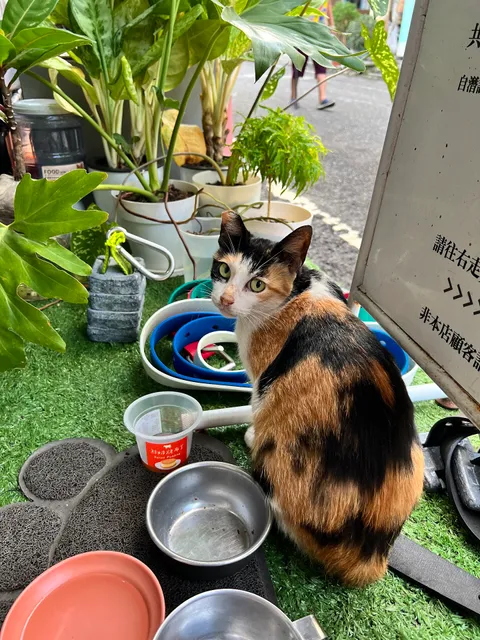 Co_diving潛水背包房