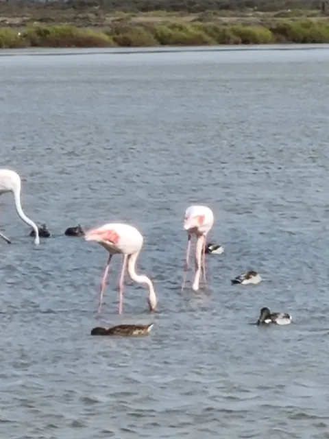 Location d'appartements au Mas des Manadiers